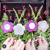 *採用在地水果*【菖樺】花朵冰綜合口味8支(荔枝4+葡萄2+芒果2)限量加碼送贈品火龍果花朵冰2支