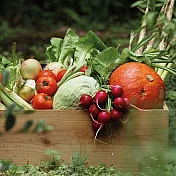 永豐餘生技GREEN&SAFE-蔬菜箱(12物)