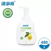 清淨海 環保洗手慕斯(檸檬飄香) 480g(超值6入組)
