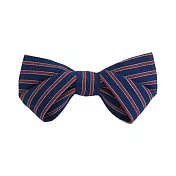 WEIXU WANG 摺疊領結(三色條紋)