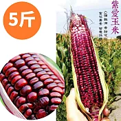 含豐富花青素,口感Q彈!【樂品食尚】高含量花青素!友善農法安心紫愛玉米5斤(免運宅配)
