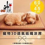 《神田職人》頂級特厚 3D透氣網布 紙纖 散熱 透氣寵物涼蓆(小-60x45cm)涼墊