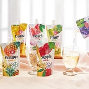 【108春季】十全 水果醋禮盒(共24入)(青梅4+蘋果4+葡萄4+蜜桃4+鳳梨4+檸檬4)