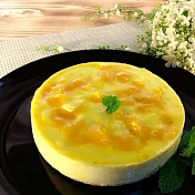 【雄爸鴉片坊創意特色乳酪】光芒百香乳酪蛋糕. 自然果香.清爽迎夏