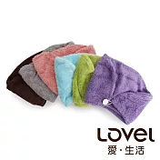 Lovel 7倍強效吸水抗菌超細纖維浴帽6入組(共9色)湖水綠
