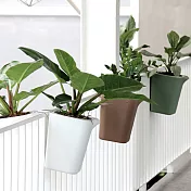 QUALY 綠洲免澆水花器L-方(咖啡)