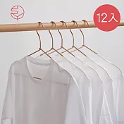 【日本霜山】耐候防鏽太空鋁金屬衣架-12入-金色