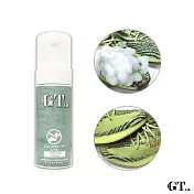 【GT】Mousse GT日本品牌清潔保養雙效慕斯 洗鞋劑 鞋類衣物洗滌 150ml