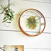 Botanica Depot- 觀葉植物 靜音 掛鐘 時鐘淺棕