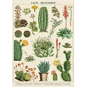 美國 Cavallini & Co. wrap 包裝紙/海報 多肉植物2