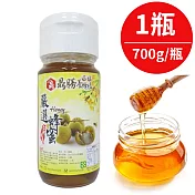 榮獲2018國產評鑑頭等獎!【樂品食尚】鼎勝養蜂場-台灣本產龍眼蜂蜜700g/瓶
