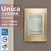 法國Schneider Unica Top全綵智慧門鈴開關 (金屬銅外框)