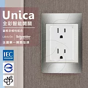 法國Schneider Unica Plus雙插座(附接地極) 香檳灰(ABS外框)