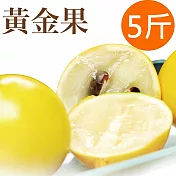 市面上稀少,高營養價值!【樂品食尚】自然農法黃金果5斤(每粒10兩以上，約8~10顆)(免運宅配)