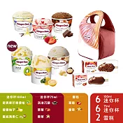 哈根達斯 尊寵柚香迷你杯雪糕14入組 (迷你杯*12、雪糕*2 )