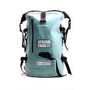 Dry Tank D2 40L 雙肩背包翡翠綠