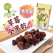 《樂園‧樹》無農藥草莓全果乾(100g/包，共2包)+贈法式水果軟糖一包(隨機口味)