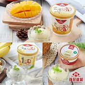 【百年枝仔冰城】在地小農冰淇淋綜合禮盒