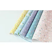 【Gracebell 葛莉絲貝兒】包裝系列 原裝進口包裝紙套組(09.~13.)