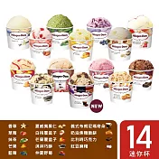 哈根達斯-繽紛嘉年華14入組