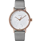 【TIMEX】天美時 復刻系列 Swarovski星象手錶 ( 灰 TXTW2T87500)