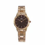 DW Daniel Wellington Iconic Link 經典風格時尚優質腕錶/28mm-DW00100214-黑+玫瑰金