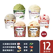 哈根達斯 非你莫糬 新麻糬12入組 (紅豆麻糬/烤布蕾麻糬/夏威夷果仁/香草/草莓/抹茶)