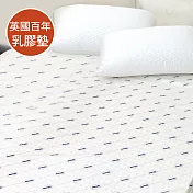 英國百年品牌Dunlopillo鄧祿普防蹣乳膠墊3*6.2尺*5cm