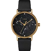 【TIMEX】天美時 復刻系列 Swarovski星象手錶 ( 黑 TXTW2T87600)