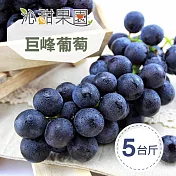 預購《沁甜果園SSN》苗栗巨峰葡萄(5台斤/箱)