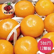 預購 《杰氏優果》茂谷柑平箱禮盒(27號)(12顆/約5台斤)