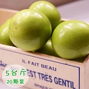 預購《饗果樂》燕巢牛奶蜜棗約(5台斤/20粒)