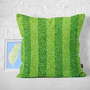 IHERMI 足場草皮A 抱枕套 45cm 台灣製