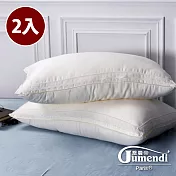 【喬曼帝Jumendi】細緻質感／蕾絲細彈絲柔枕(2入)