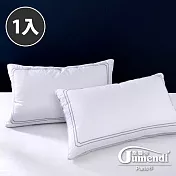【喬曼帝Jumendi】時尚好眠／刺繡高彈支撐枕(1入)