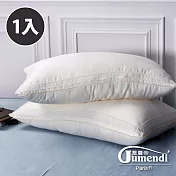 【喬曼帝Jumendi】細緻質感／蕾絲細彈絲柔枕(1入)
