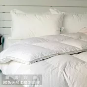【LITA麗塔】6x7雙人羽絨被90/10優質天然