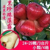【產地直送】正宗屏東林邊黑珍珠蓮霧3斤X4箱(小顆/24-29粒/箱)