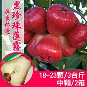 【產地直送】正宗屏東林邊黑珍珠蓮霧3斤X2箱(中顆/18-23粒/箱)