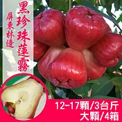【產地直送】正宗屏東林邊黑珍珠蓮霧3斤X4箱(大顆/12-17粒/箱)