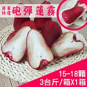 【產地直送】屏東林邊砲彈蓮霧3台斤X1箱(15-18粒/箱)