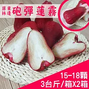 【產地直送】屏東林邊砲彈蓮霧3台斤X2箱(15-18粒/箱)