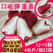 【產地直送】屏東林邊砲彈蓮霧4台斤X2箱(精裝版/12-15粒/箱)