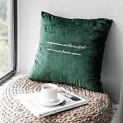 【收納職人】北歐ins燙金輕奢絨抱枕被/兩用抱枕/多功能抱枕毯子_翡翠綠