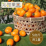 預購《沁甜果園SSN》錦珠番茄5斤/盒