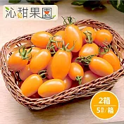預購《沁甜果園SSN》橙蜜香小番茄5斤/盒,(共2盒)