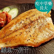 預購《台江漁人港》鱸魚一夜干(去刺)(225g/包，共二包)