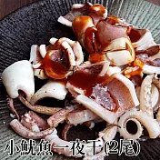 預購《台江漁人港》小魷魚一夜干(250-300g/2尾/包，共二包)