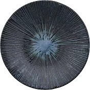 《Tokyo Design》瓷製淺餐盤(晨露黑21.5cm)