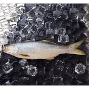 【吉品養生】安心水產 午仔魚(370g)